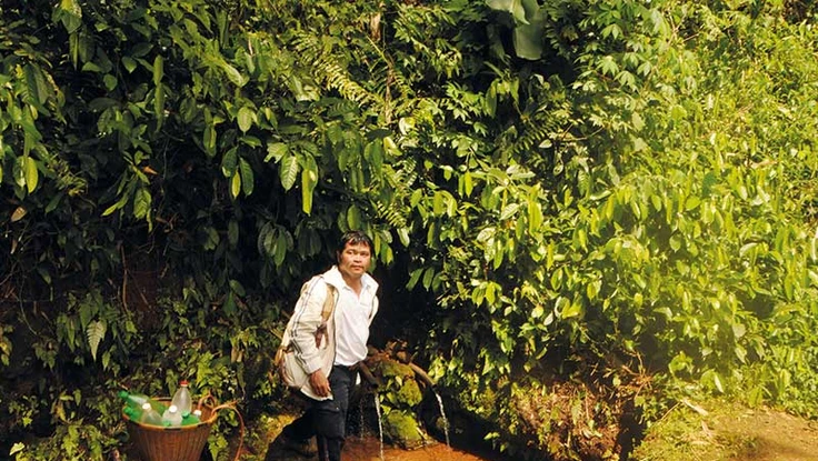 Cuộc đời của một con suối lạc loài