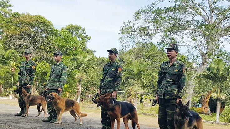 Những Chiến binh quả cảm