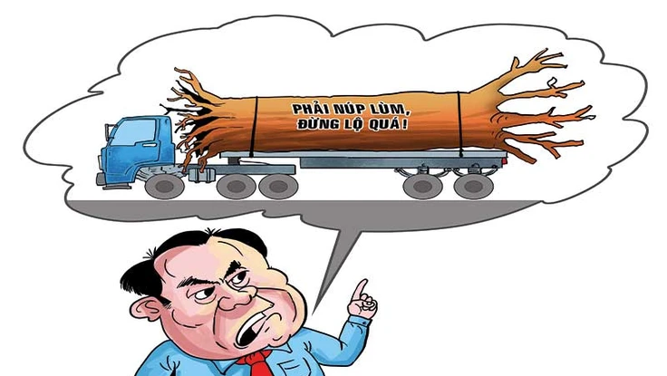 Chúa sơn lâm, trùm hà bá!