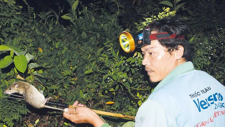 Chuyện lạ miền Tây