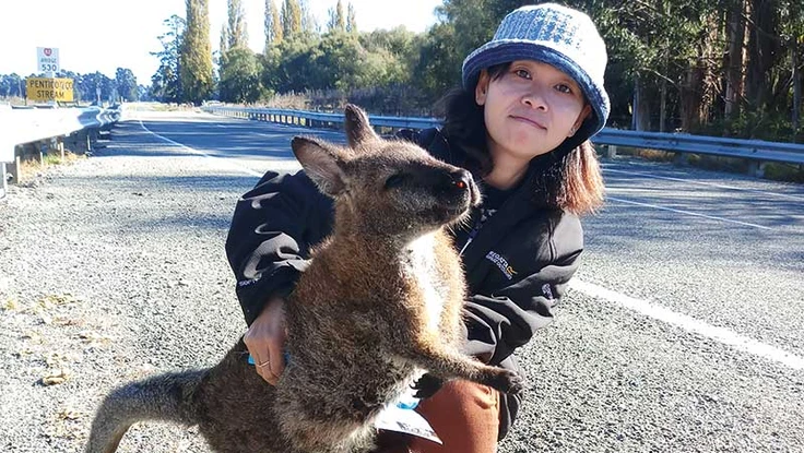 Lạc bước tới xứ sở thần tiên