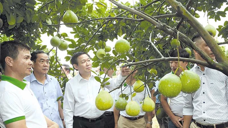 Thành quả 2019 tạo đà về đích cho năm 2020