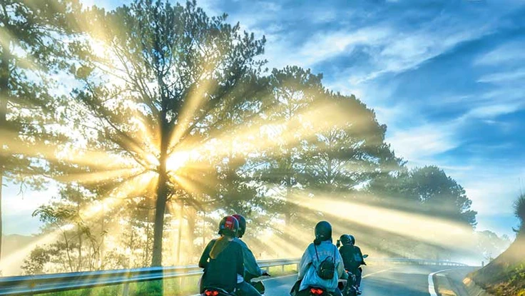 Ngủ đêm ở lãnh địa ‘khỉ ho cò gáy’