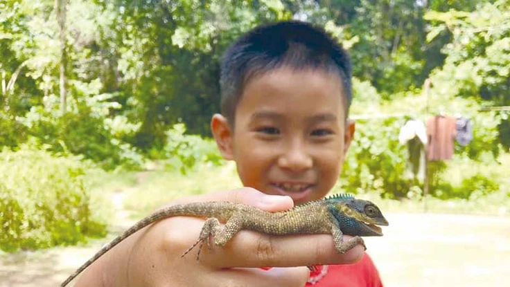 Tết vào rừng cùng con