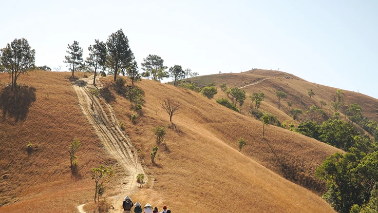 Trekking đi tìm món quà vô giá từ rừng