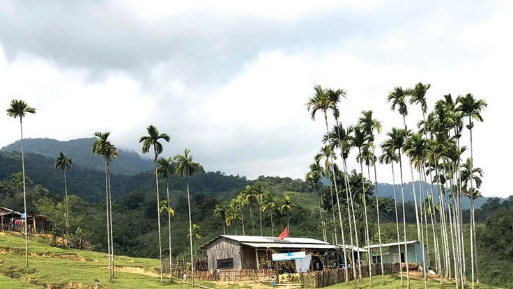 Một ngày trên đỉnh núi thiêng Ngọc Linh