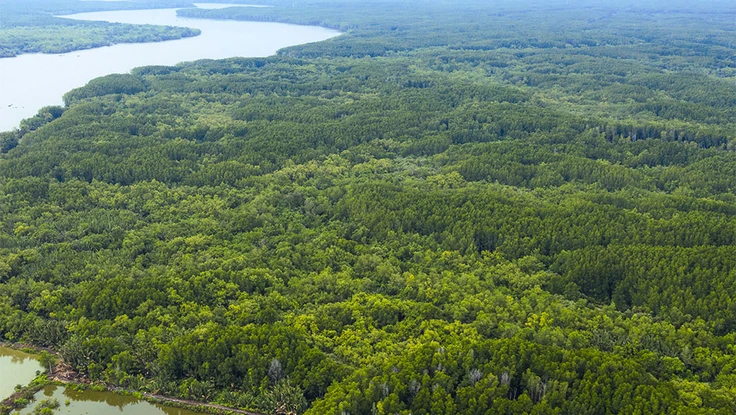 Độc đáo đô thị sinh thái Cần Giờ