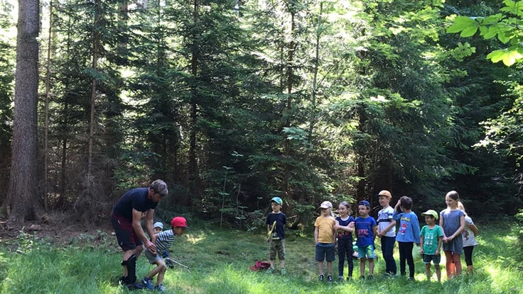 Lớp học trong rừng