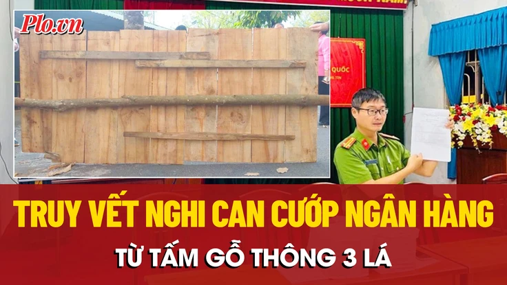 Truy tìm nguồn gốc tấm gỗ thông 3 lá liên quan vụ cướp ngân hàng ở Gia Lai