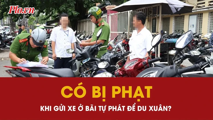 Gửi xe ở bãi giữ xe tự phát khi đi du xuân, người dân có bị phạt?