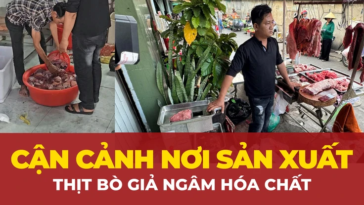 Công an TP.HCM khởi tố hai đối tượng ‘phù phép’ heo nái thành thịt bò