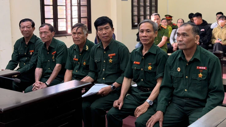 6 cựu chiến binh kêu oan tội hủy hoại rừng cho biết sẽ kháng cáo