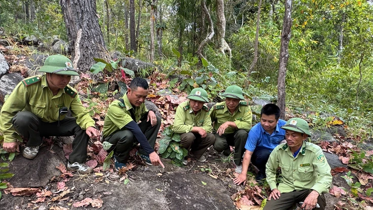 Phát hiện bãi đá có nhiều họa tiết lạ trong Vườn quốc gia Yok Đôn
