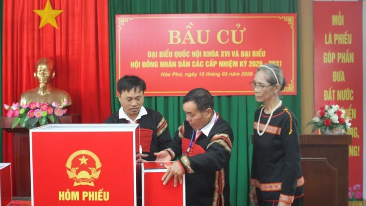 84 người trúng cử đại biểu HĐND tỉnh Đắk Lắk, nhiệm kỳ 2026-2031