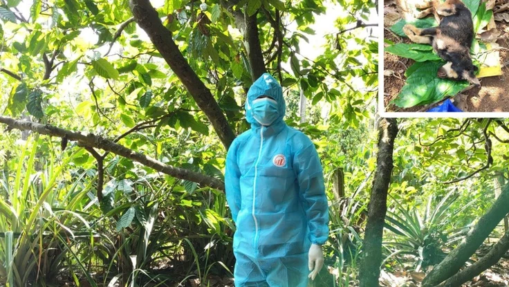 Bị chó nghi mắc bệnh dại cắn, người đàn ông tự điều trị bằng thuốc nam