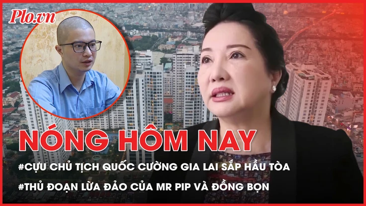 Cựu chủ tịch Quốc Cường Gia Lai Nguyễn Thị Như Loan sắp hầu tòa; Công bố kết luận điều tra vụ Mr Pip lừa đảo