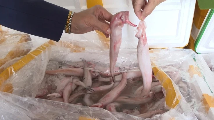 Cá khoai và cái giá của sự ham rẻ