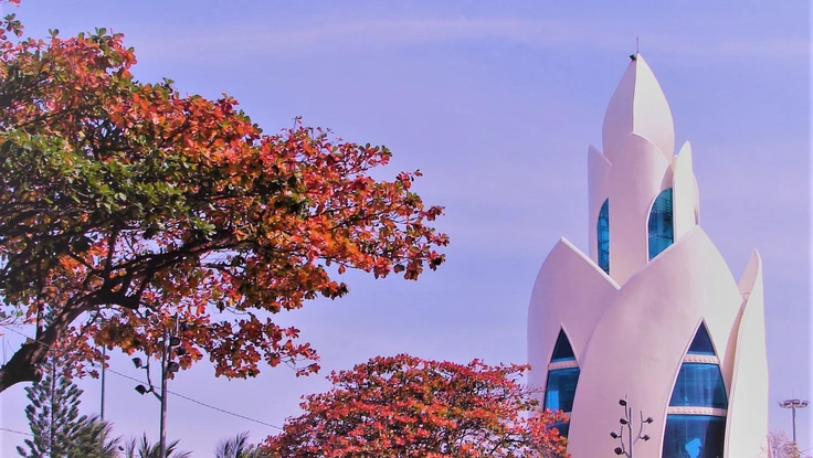 Nha Trang nắng ngập tràn, bàng thay lá ngày cuối năm