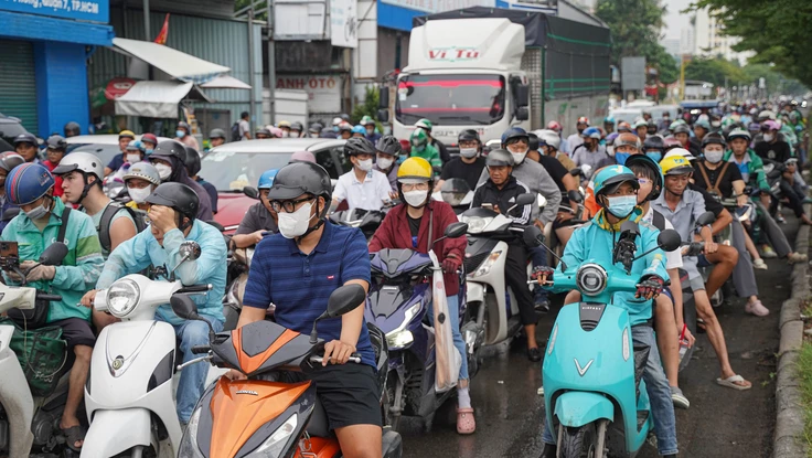 TP.HCM thống nhất chủ trương xây dựng đề án di dời các cơ sở giáo dục, y tế ra ngoại thành