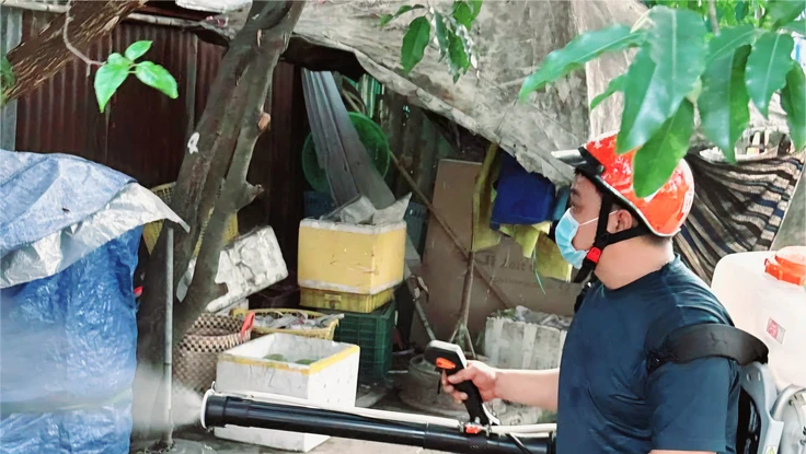 TP.HCM: Số ca mắc sốt xuất huyết và tay chân miệng có dấu hiệu giảm 