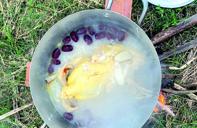 Sâm tiến vua vào mâm cơm tặng mẹ