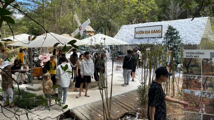 Đến ngày mồng 5, Đà Lạt đón 238.000 du khách