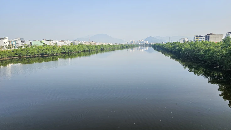 2 hàng cây khiến dự án 590 tỉ đồng chưa thể nghiệm thu: Khánh Hòa quyết chặt bỏ