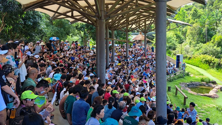 An Giang thu hơn 2.620 tỉ đồng từ du lịch Tết Nguyên đán Bính Ngọ