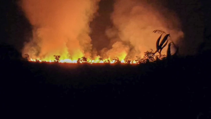 Điều tra vụ cháy đồng cỏ bàng ở An Giang 