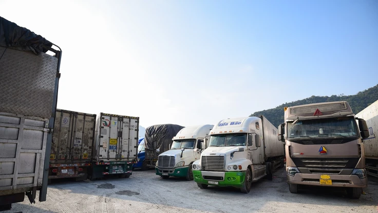 Bộ NN&MT lập đường dây nóng để tiếp nhận, giải đáp khó khăn thực hiện Nghị định 46