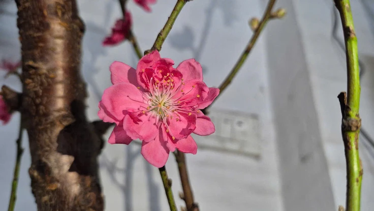 Mùng 2 Tết, miền Bắc chuyển rét, có nơi dưới 13 độ