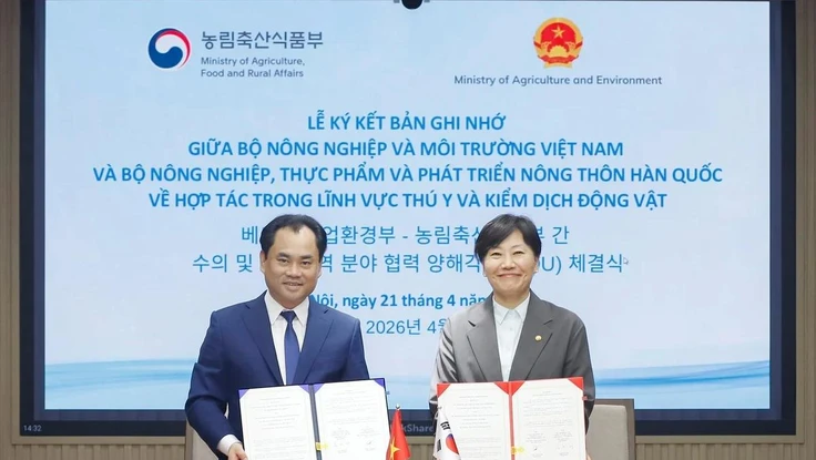 Việt Nam và Hàn Quốc mở cửa thị trường thịt gà chế biến