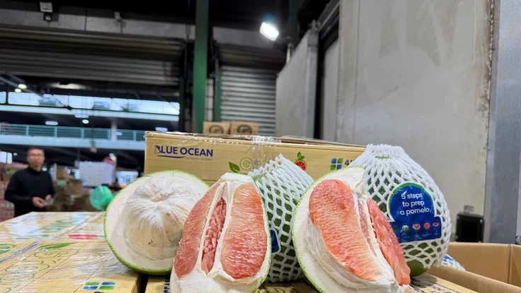 Thông quan lô bưởi tươi đầu tiên của Việt Nam vào Australia