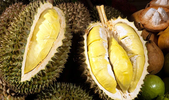 Sầu riêng, nhiều nông sản ùn tắc kiểm nghiệm, Bộ NN&MT chỉ đạo khẩn 