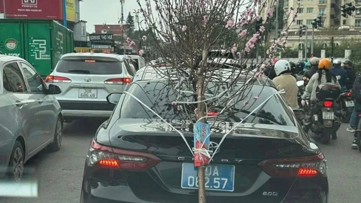 Xe biển xanh chở cành đào che biển số bị phạt 23 triệu đồng