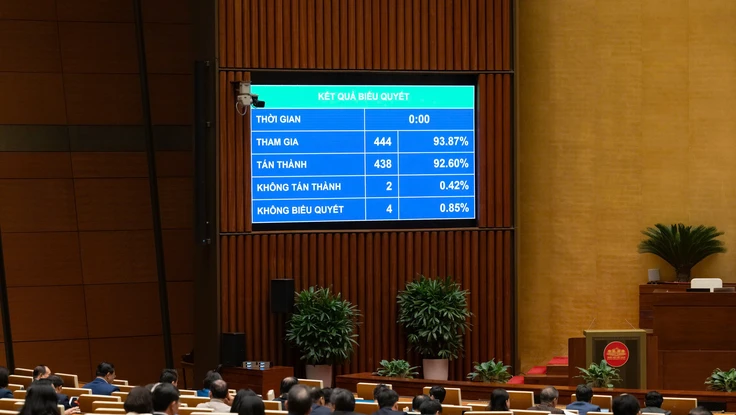 Cần xây dựng tòa án chuyên biệt theo mô hình 'mở có kiểm soát'