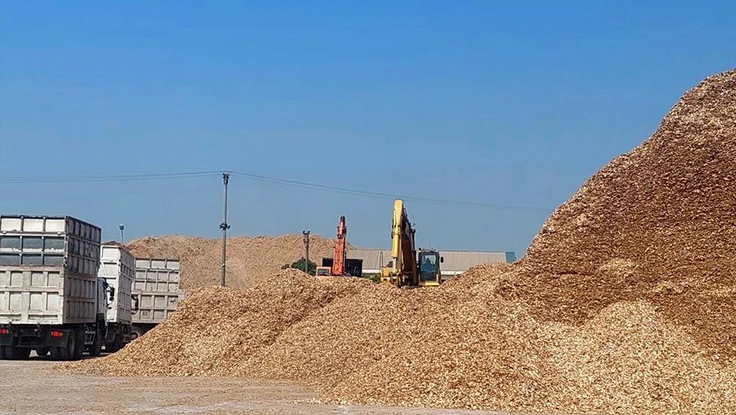 Dăm gỗ chờ xuất khẩu tại cảng. Ảnh: AN HIỀN