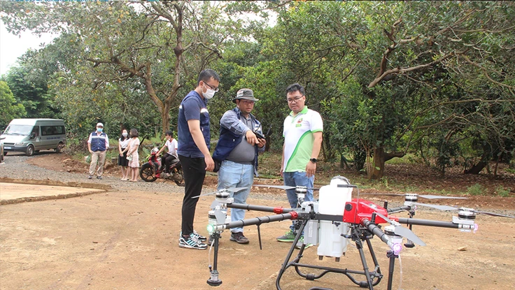 Máy bay không người lái được ứng dụng trong việc phun thuốc bảo vệ thực vật cho nông trại. Ảnh: THU HÀ