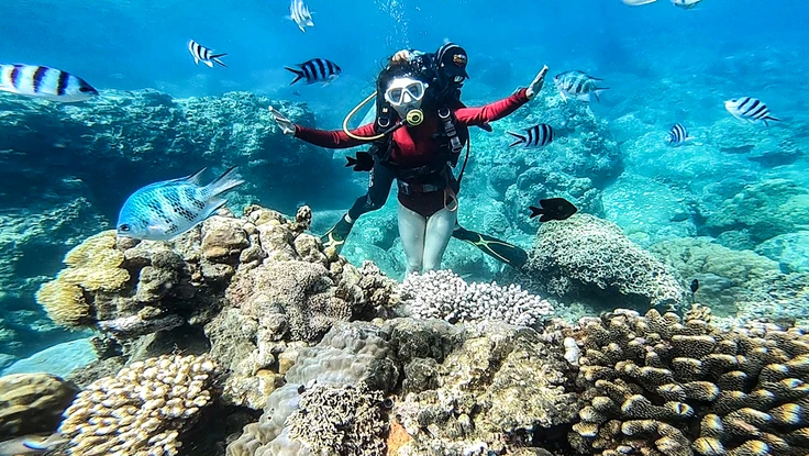 Những bà đỡ cho san hô