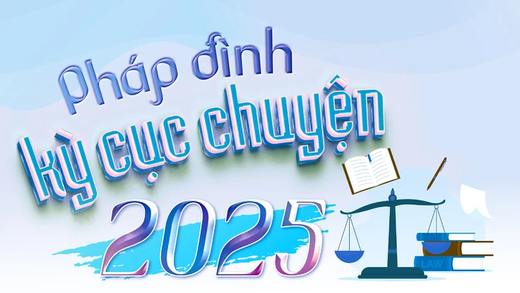Pháp đình kỳ cục chuyện 2025