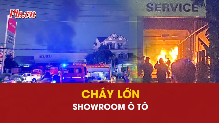 Cháy, Showroom, ô tô, Lê Quang Đạo