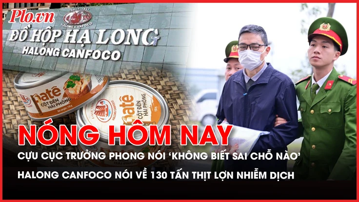 dịch tả lợn châu Phi, Halong Canfoco, Nguyễn Thanh Phong