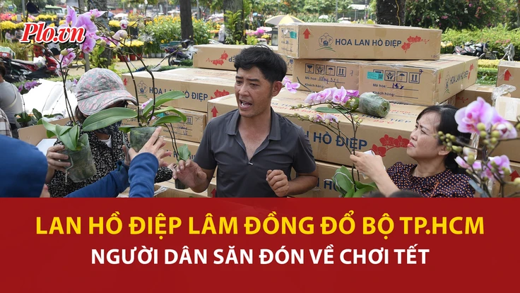 lan hồ điệp, công viên, Lâm Đồng