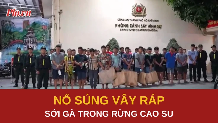 Tiếng súng chỉ thiên vây ráp sới gà trong rừng cao su
