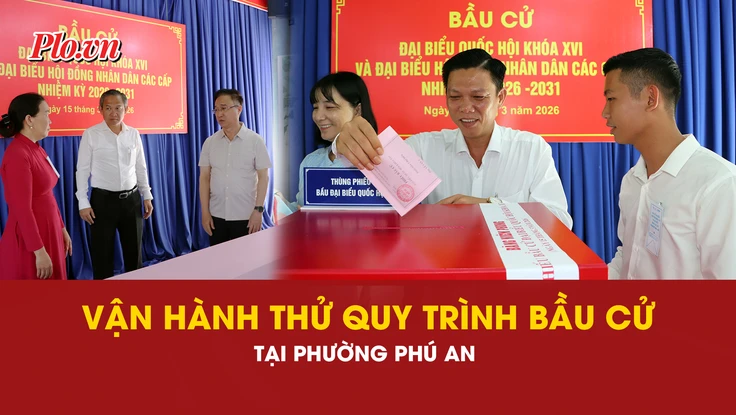 bầu cử, phường Phú An, 