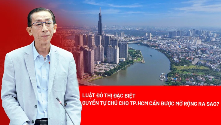 TP.HCM, Luật đô thị đặc biệt, Bộ Chính trị