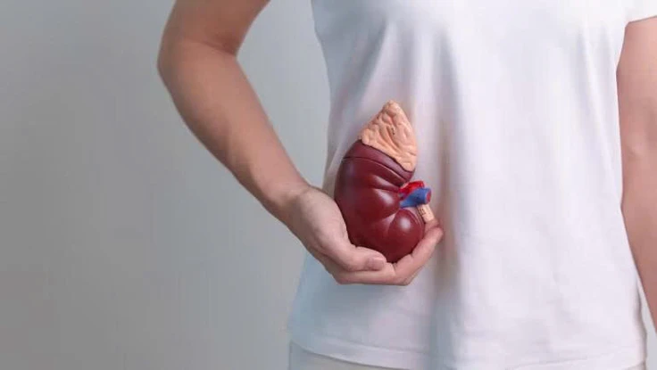 Muốn bảo vệ thận, hãy từ bỏ ngay 7 thói quen tai hại này