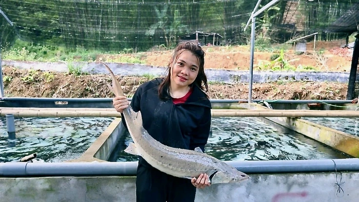 Một nông dân dân tộc Mường trúng cử đại biểu HĐND tỉnh Thanh Hóa nhiệm kỳ 2026-2031