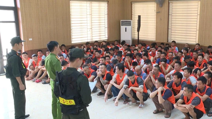 Triệt phá 'trường gà quốc tế Viêng Xay', khởi tố 196 bị can 