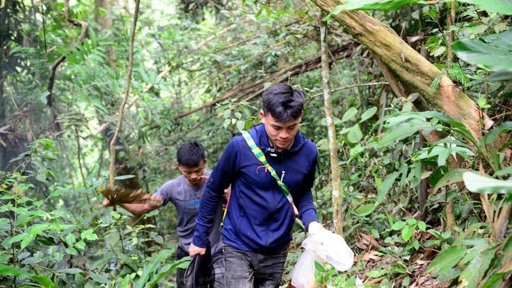 Người dân vùng cao Thanh Hóa vào mùa săn ong rừng